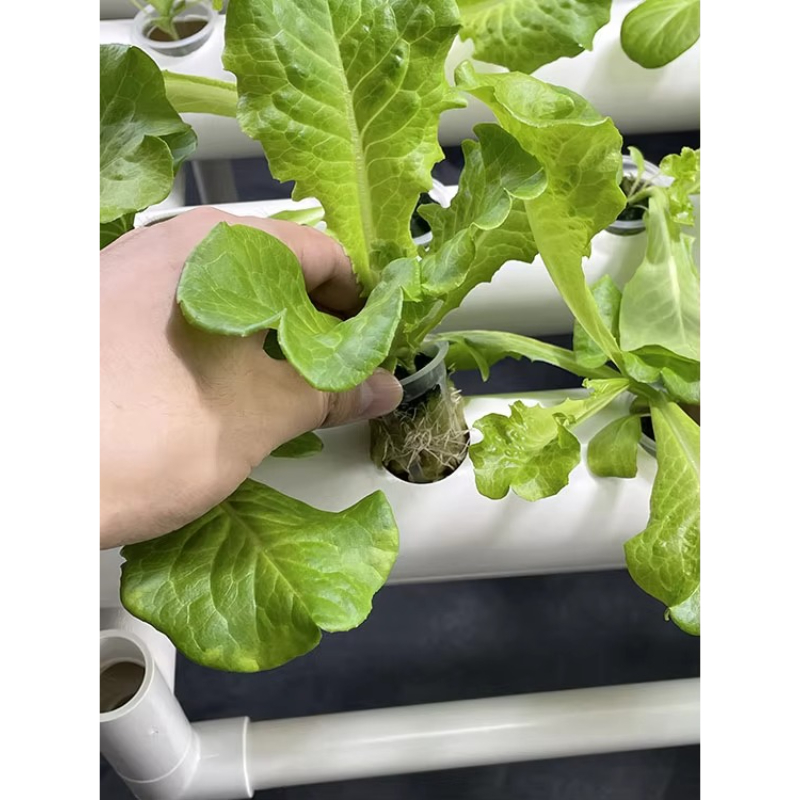 108 Holes Hydroponic Grow Kit  - Aquaponics Home Kit recension och pris