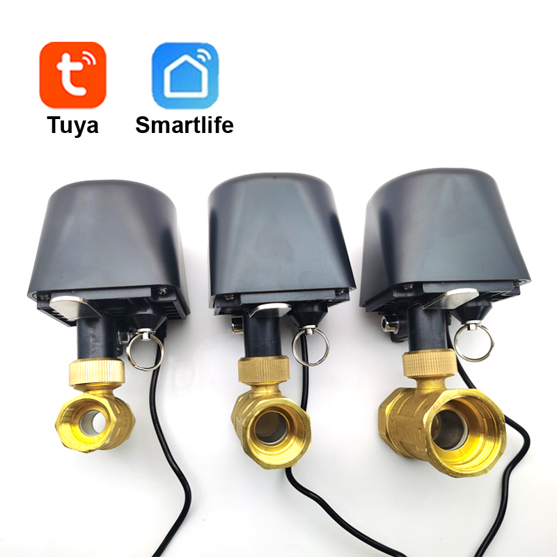 Tuya WiFi or Zigbee Water Valv - Smart Garden Valve recension och pris